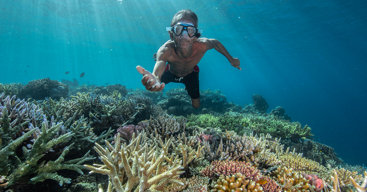 Coral Conservation Guardian protection avec des coralliens récifs et