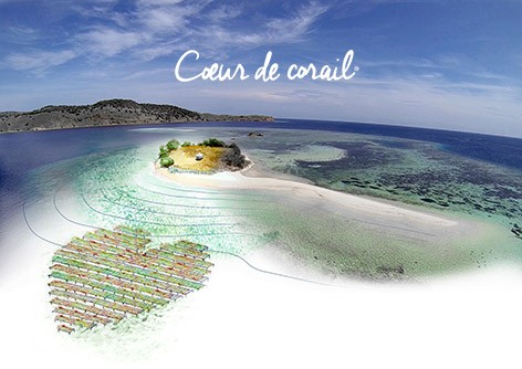 Cœur de Corail avec la Fondation Daniel Jouvance – Institut de France: 10 000 coraux transplantés en forme de coeur !