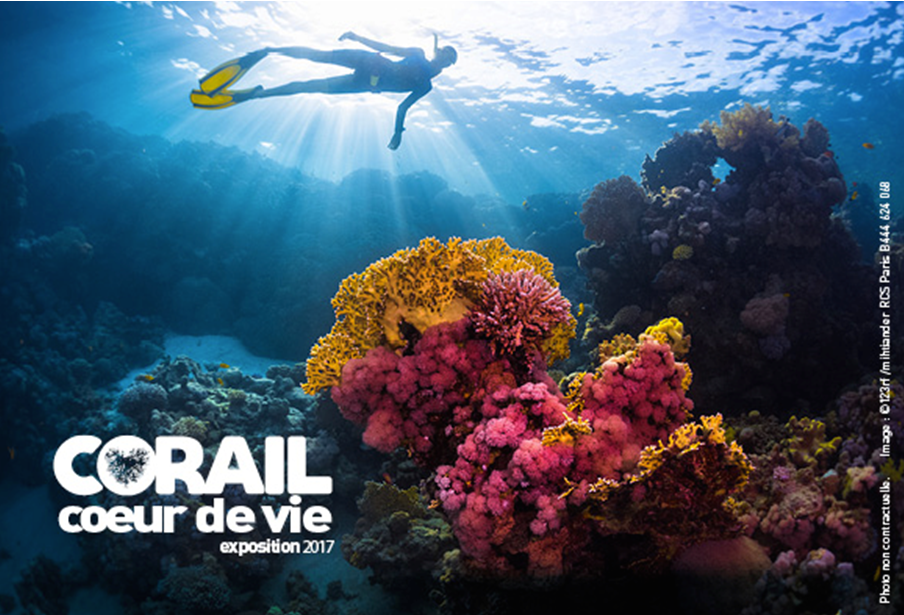 Coral Guardian s’expose à l’Aquarium de Paris !
