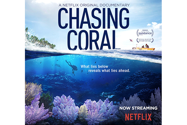 Chasing coral