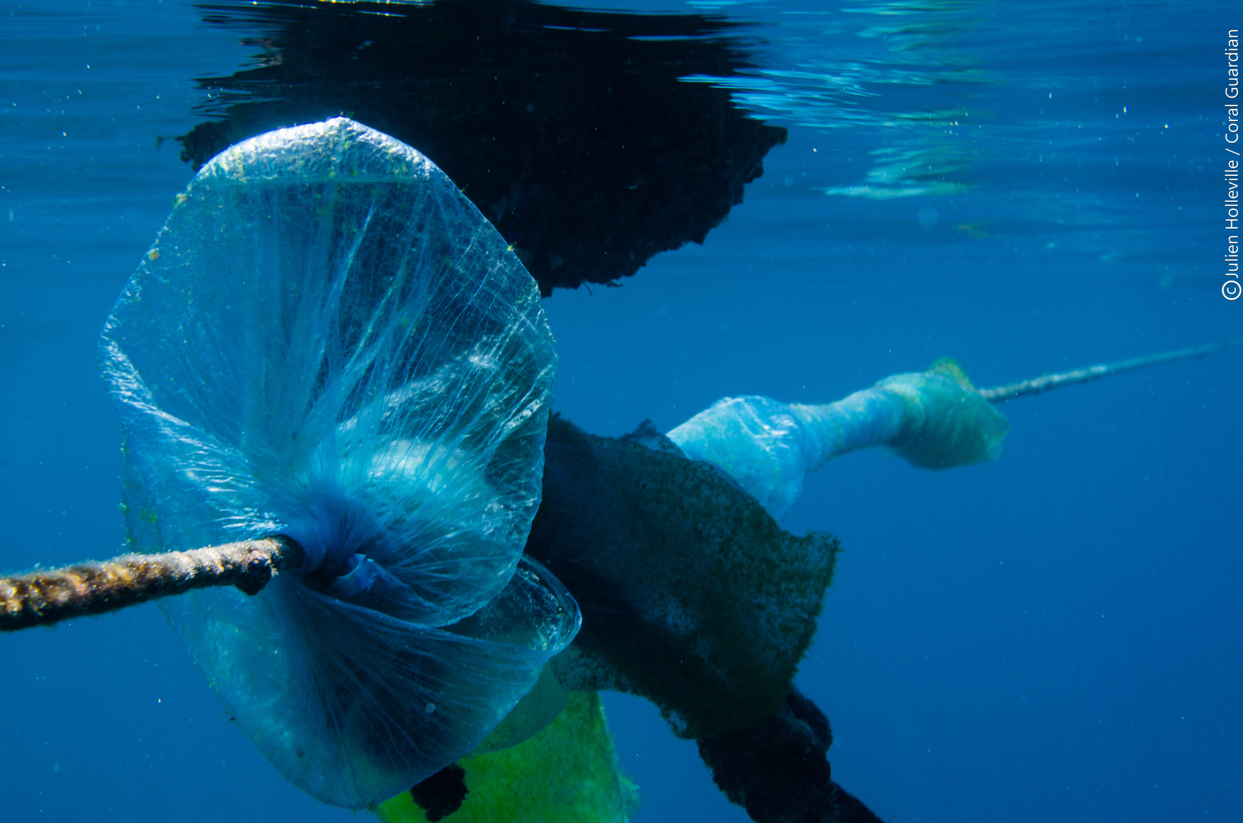 Le plastique : un défi majeur de notre siÚcle