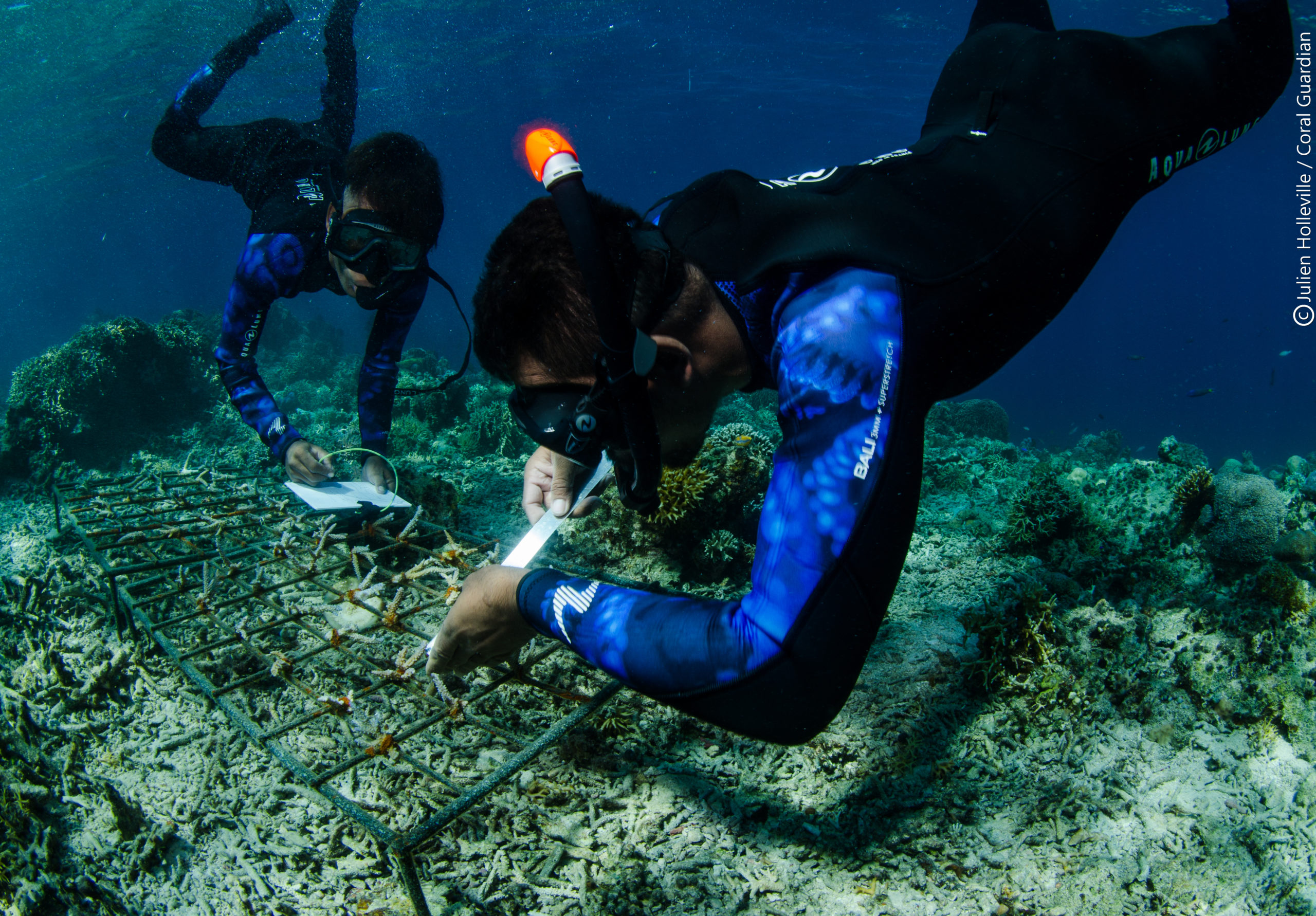 La gestion socio-écologique des récifs coralliens : relier la pratique à la recherche