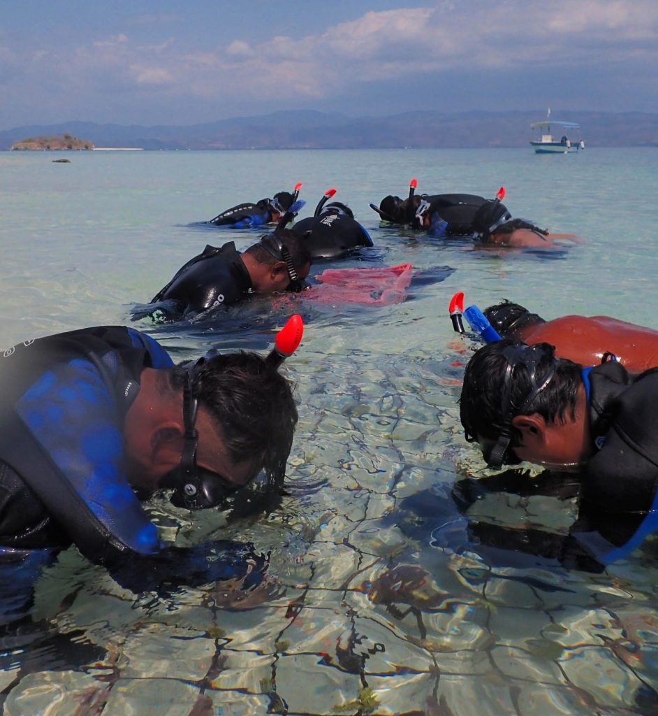 Plongée sous-marine durable et responsable avec Coral Guardian