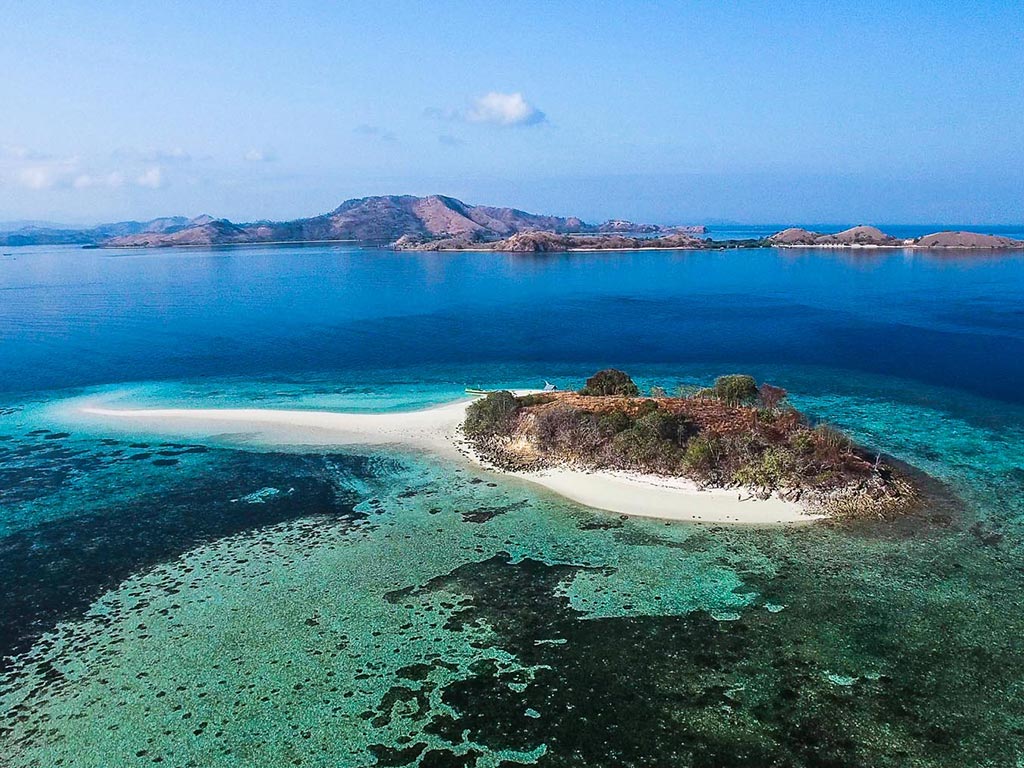 marine protected area - Coral Guardian