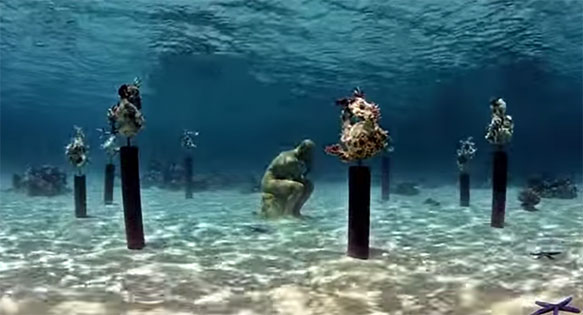 reef - Coral Guardian