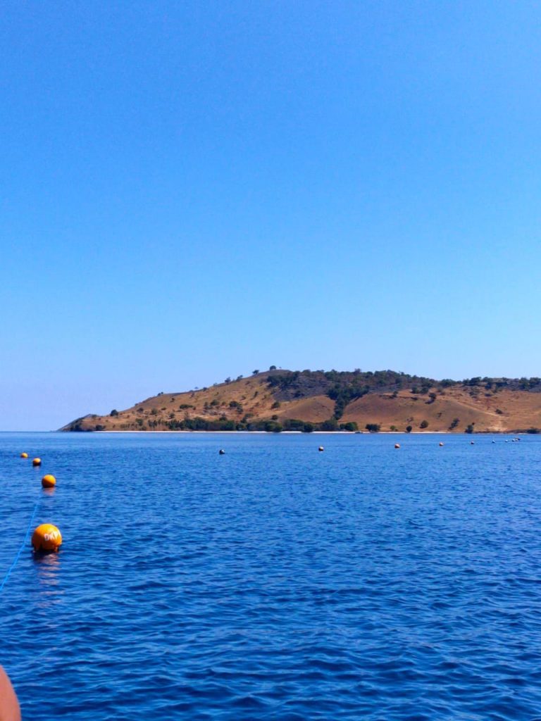 buoy line - marine protected area