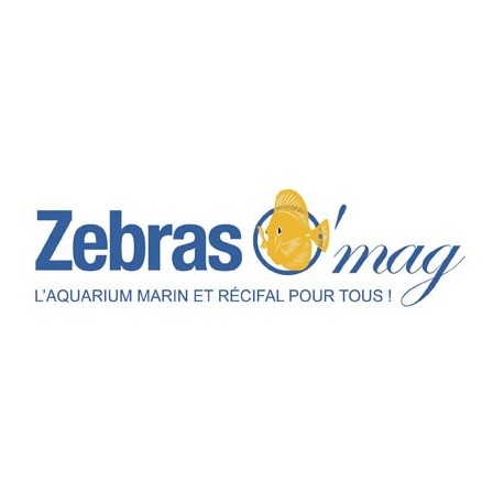 zebraso-mag-logo
