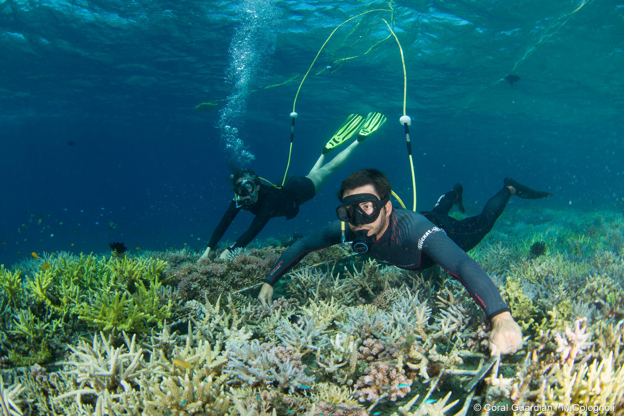 Coral restoration - Coral Guardian