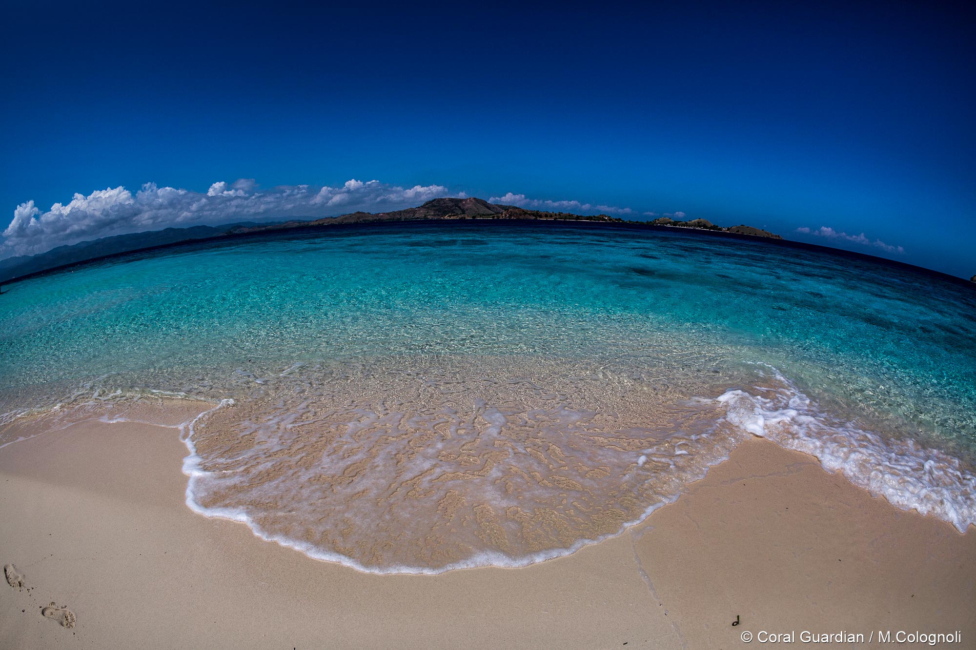 Hatamin island - Coral Guardian