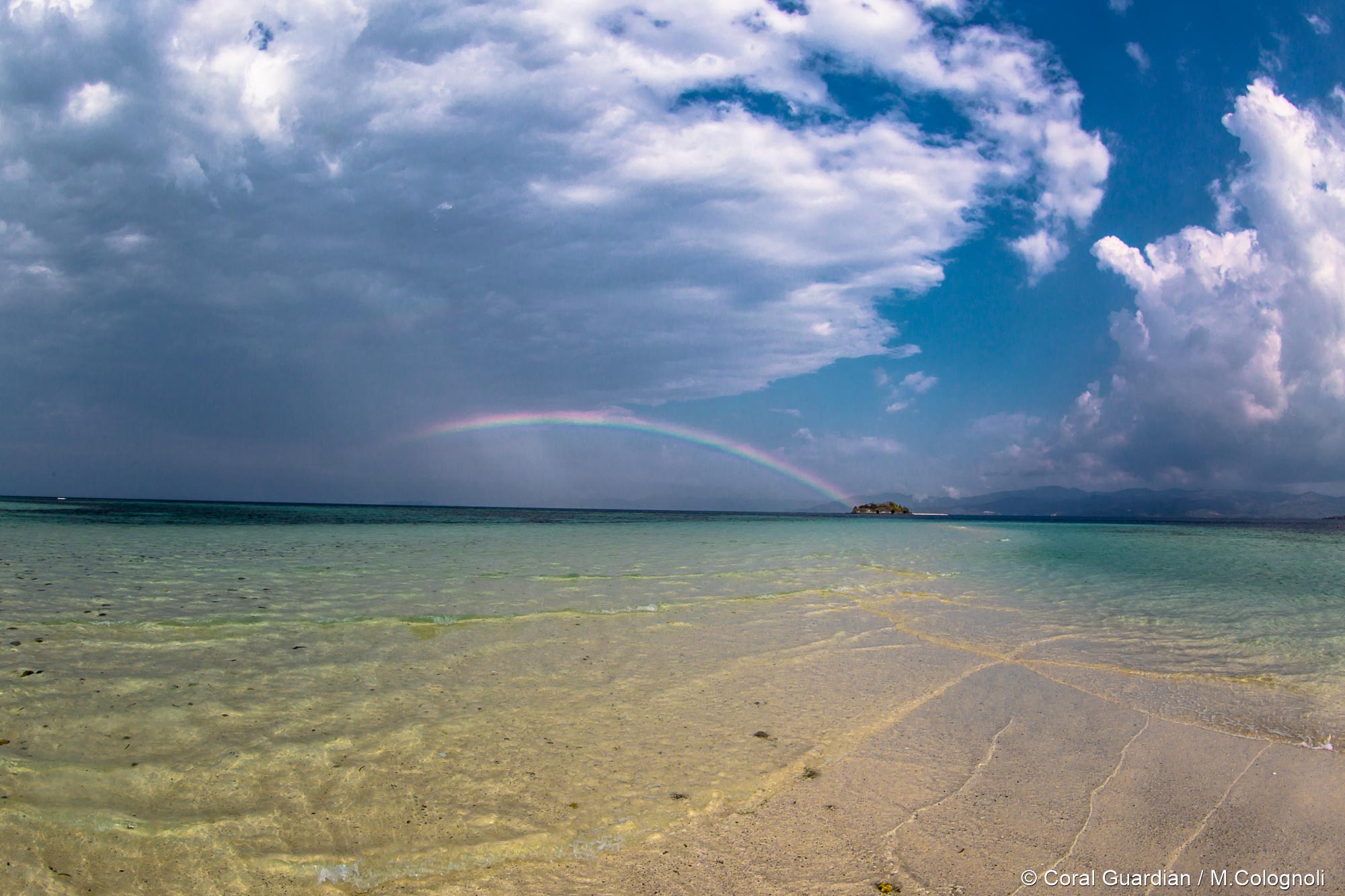 Hatamin island - Coral Guardian