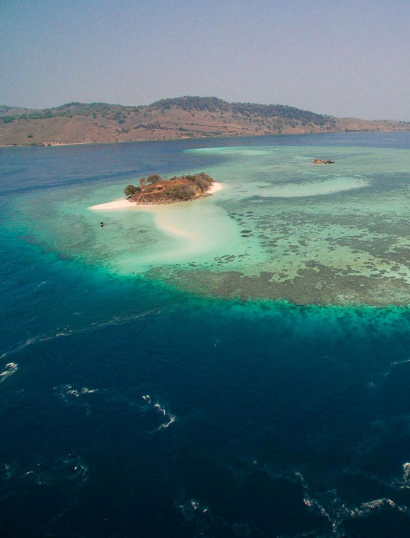 Hatamin island - Coral Guardian