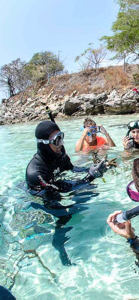 Eco-tourism - Coral Guardian