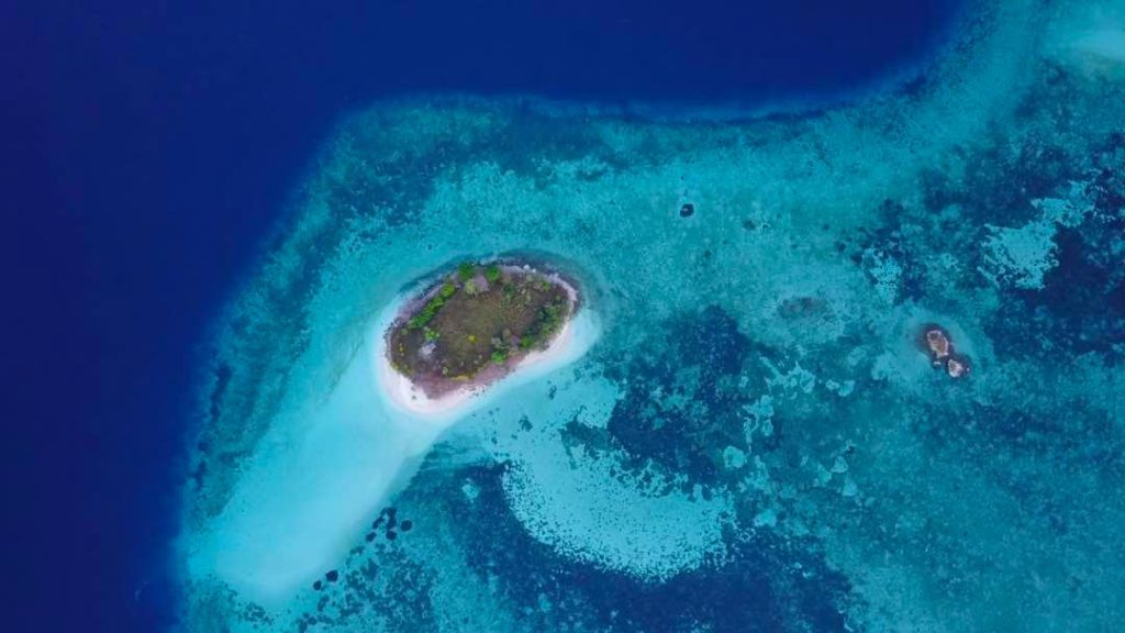 Hatamin island - Coral Guardian