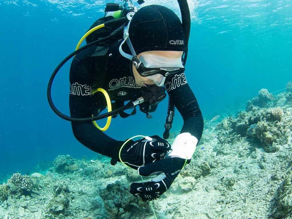 Scientific monitoring - Coral Guardian