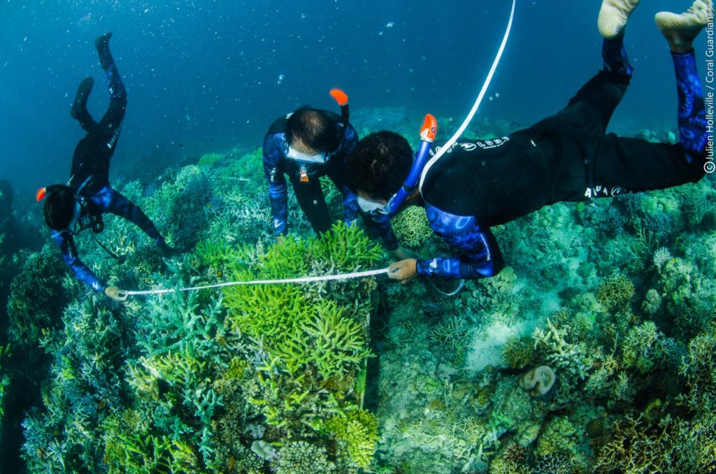 Measuring coral growth - Coral Guardian