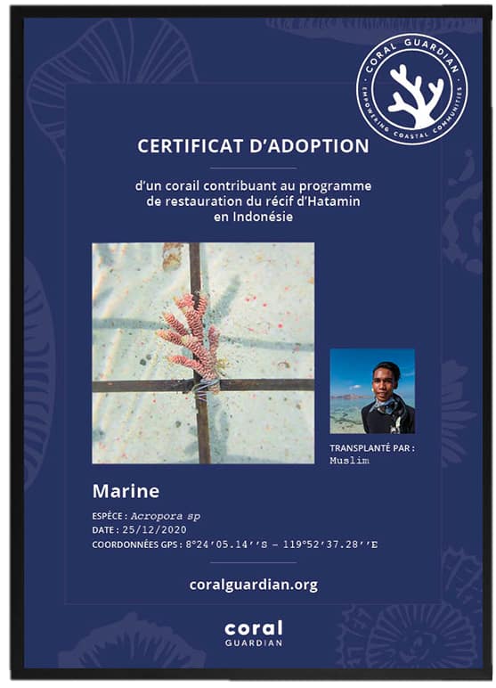 Encadré pour certificat A4 FR