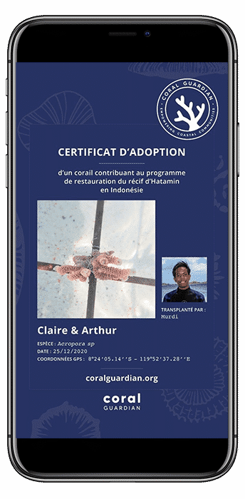 Certificat d'adoption - Coral Guardian