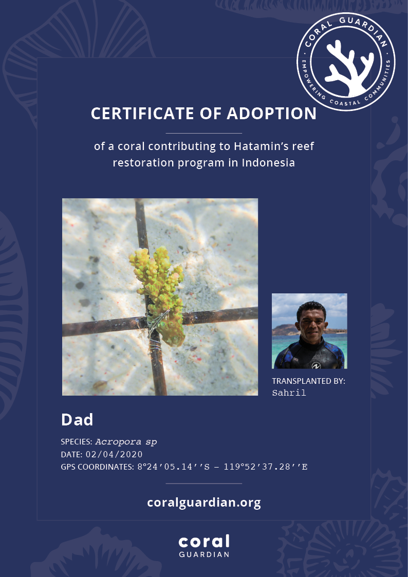 Adoption certificate