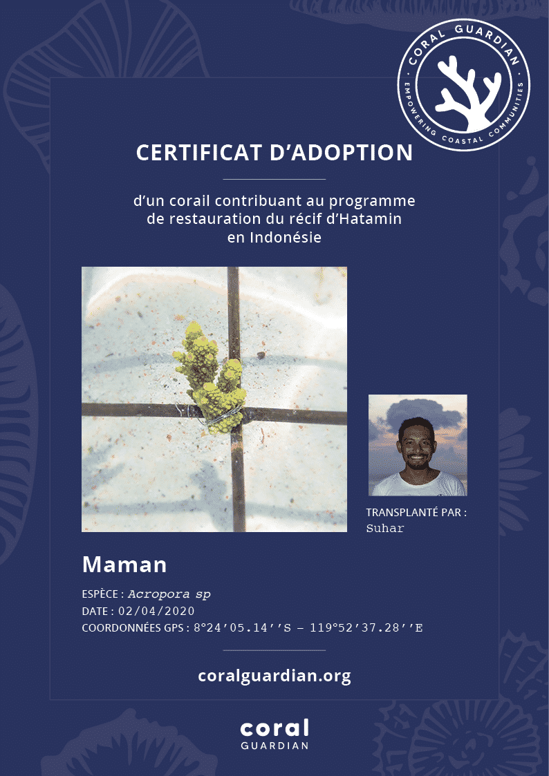 Certificat d'adoption - Coral Guardian