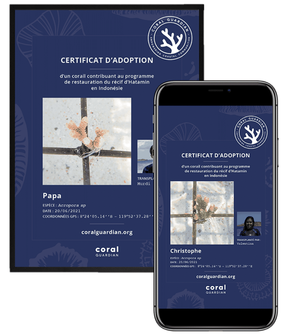 certificats coraux