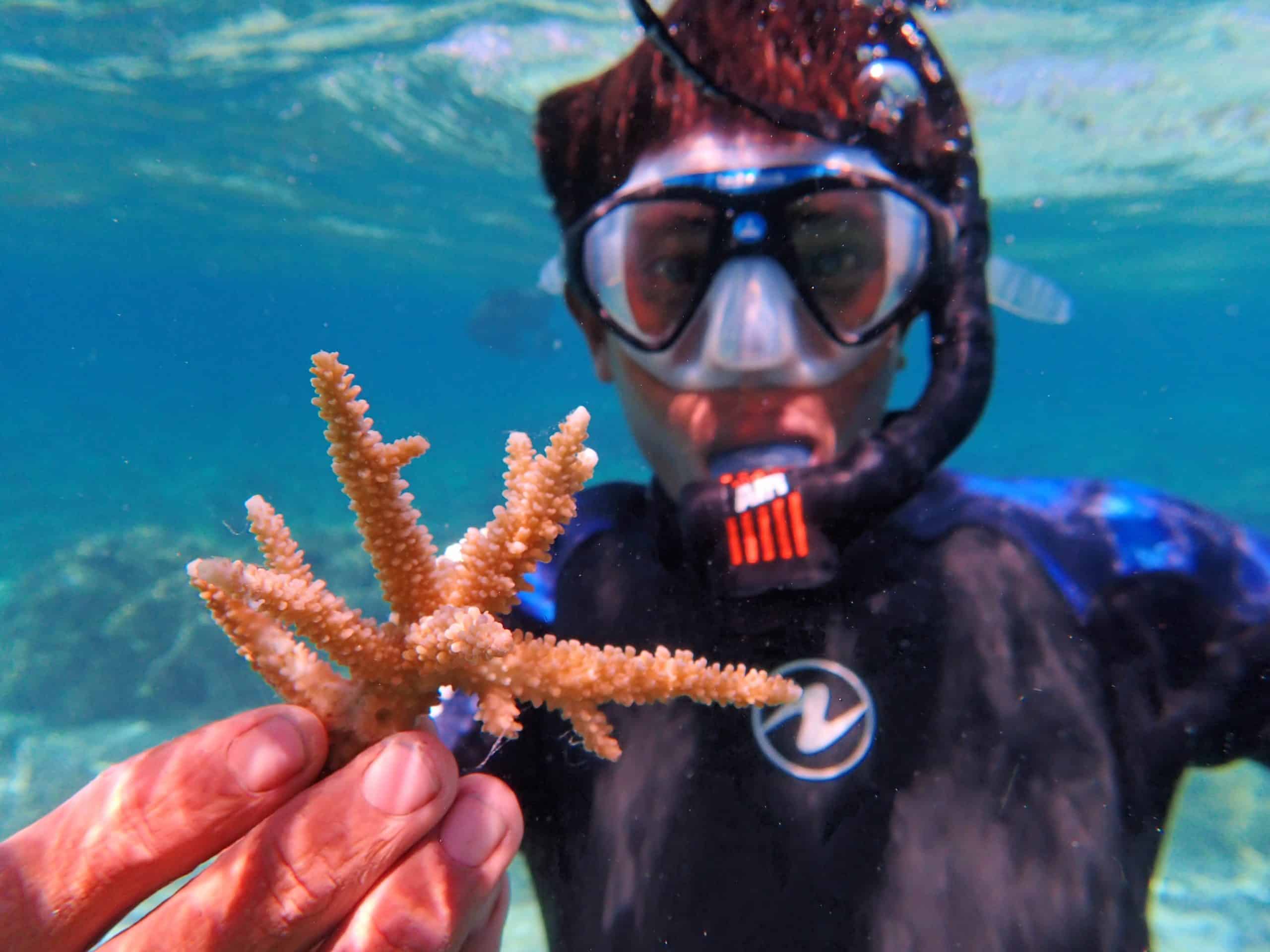 Adopt a coral: a unique and ecofriendly gift idea for Father’s Day!