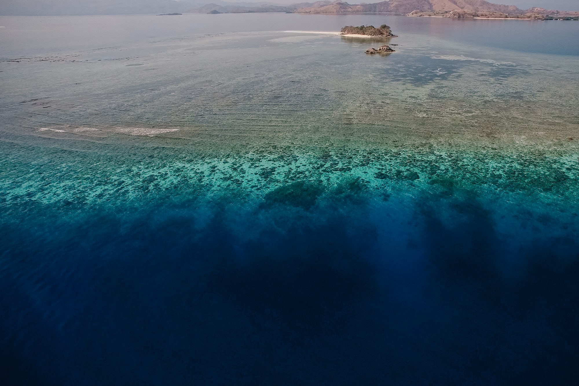 Les aires marines protégées : quel objectif de conservation prioriser ?