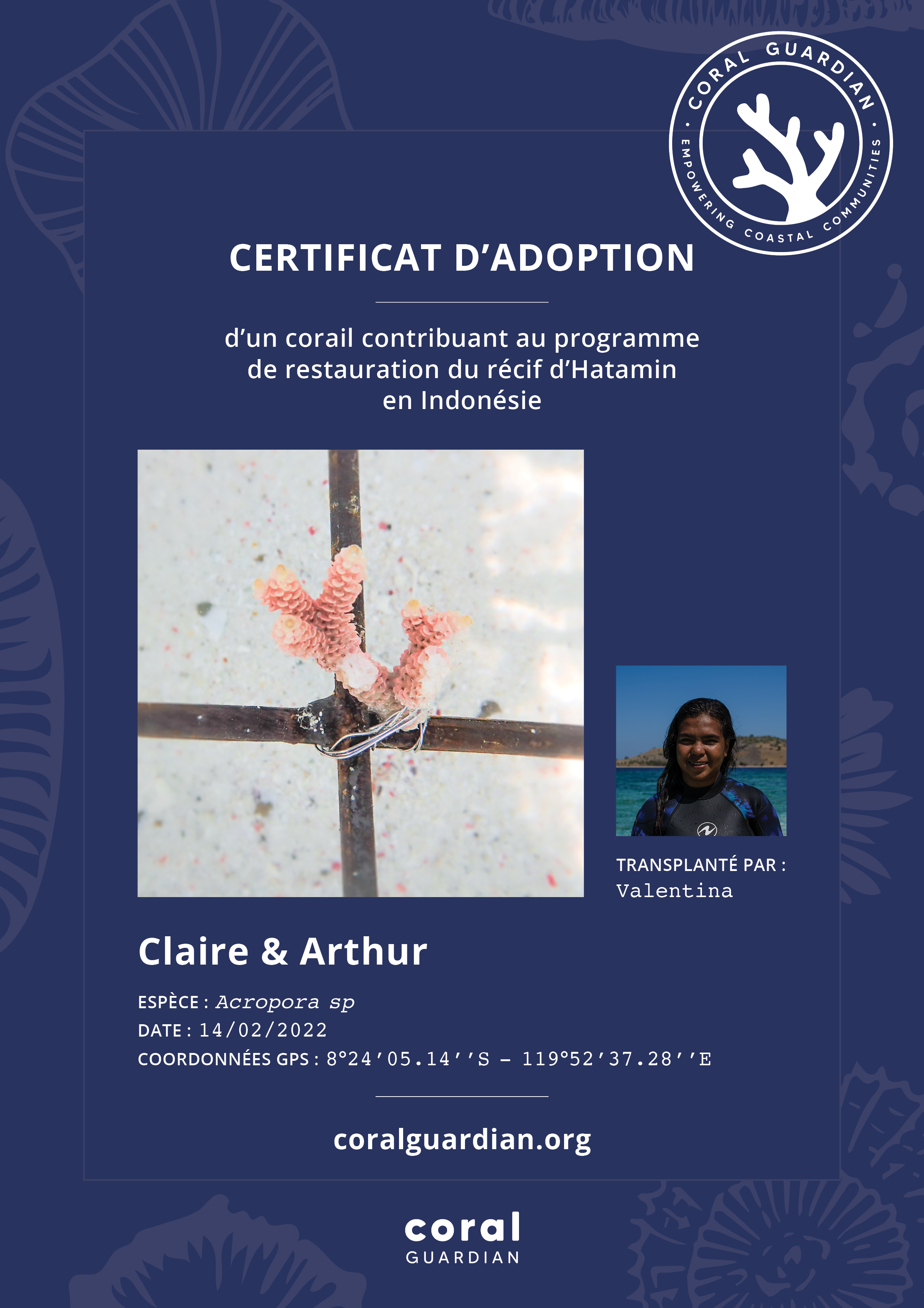 certificat St Valentin