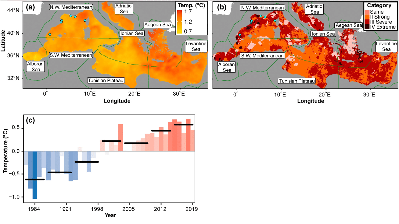 Mediterranean heatwaves