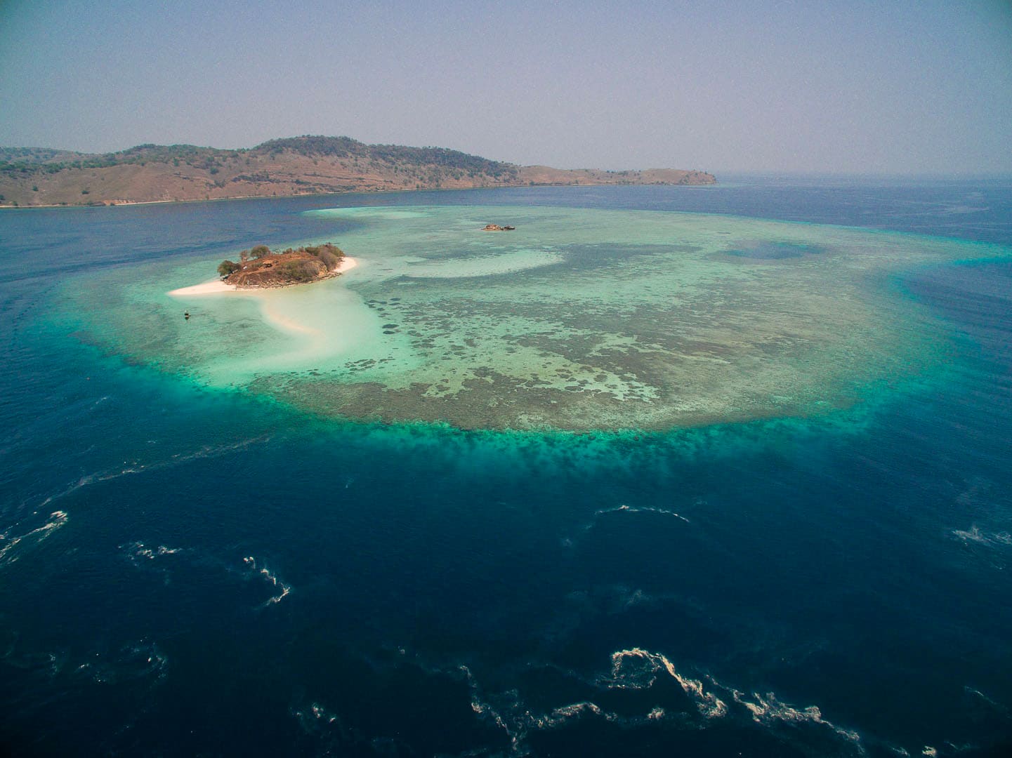 L’Indonésie comme épicentre de la biodiversité marine, mais qu’en est-il de ses projets de restauration corallienne ?