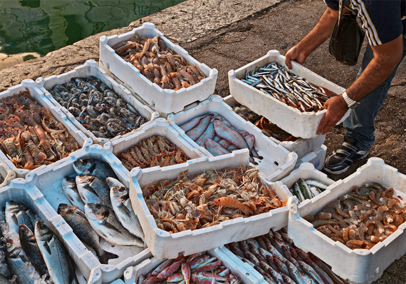 pêche méditerranée