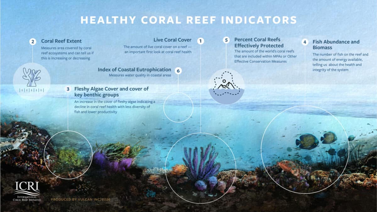 ICRI coral reef indicators