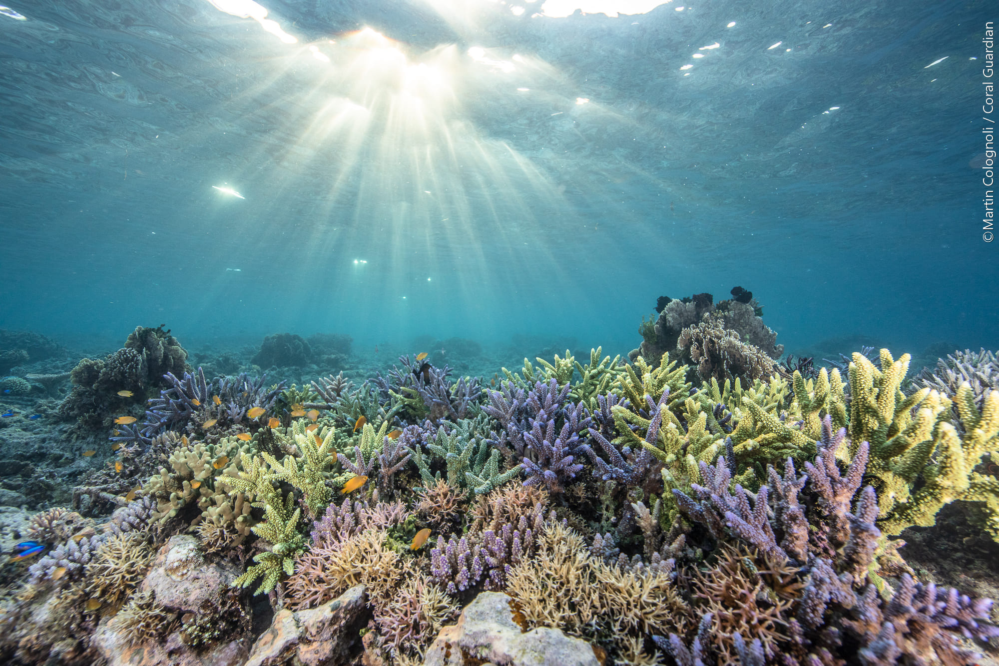 Gender equality in marine science? Not yet…