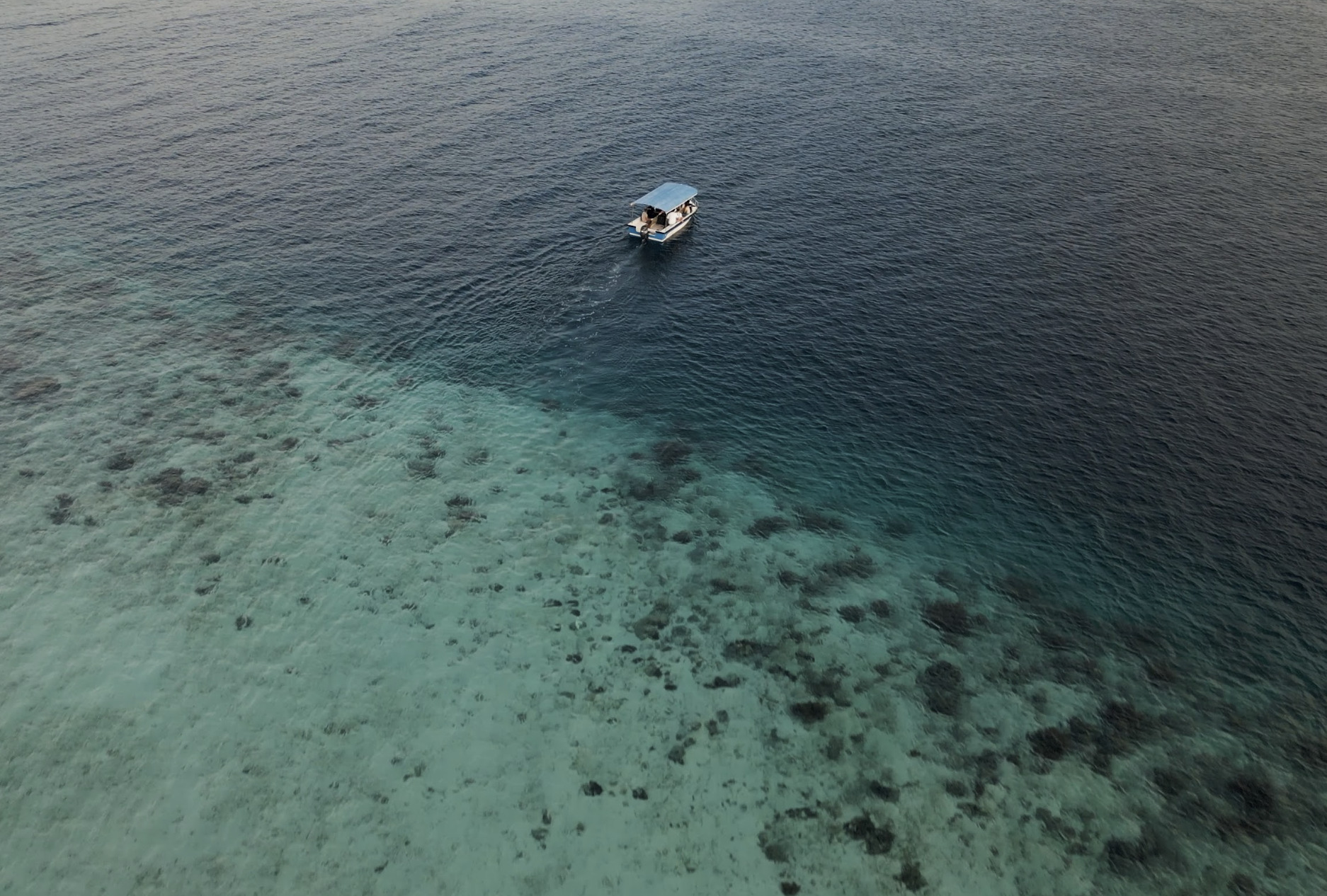 A fleet of drifting instruments in the ocean serving ocean monitoring and protection? Argo floats.