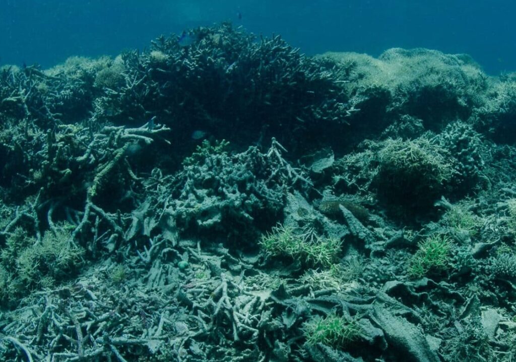 © Julien Holleville