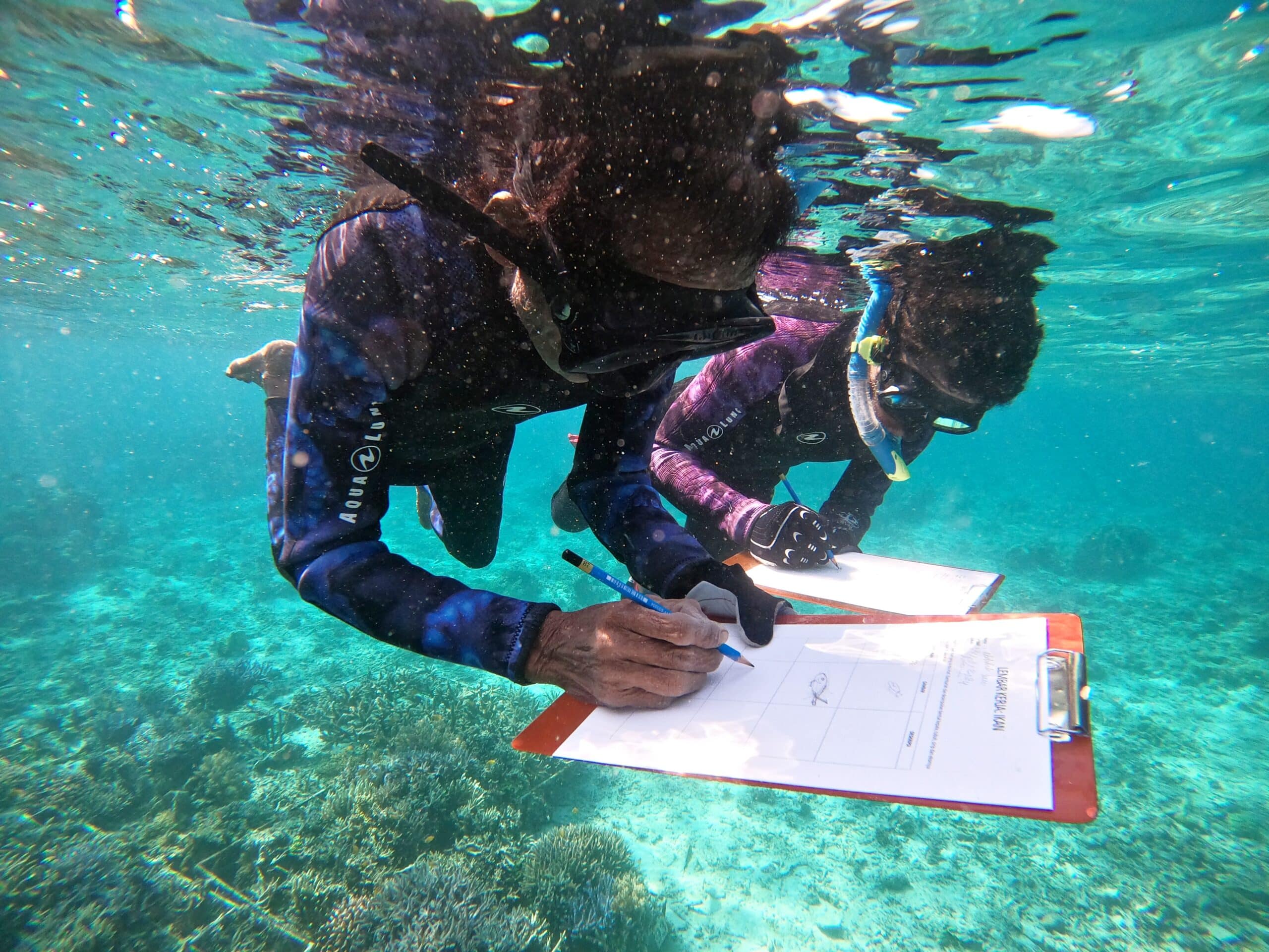 Coral Guardian rejoint l&rsquo;écosystème IDEAS