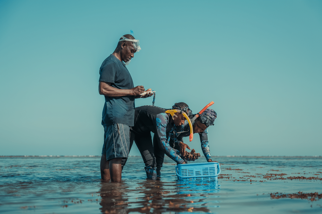 © W2P - Aurélien Vineski 